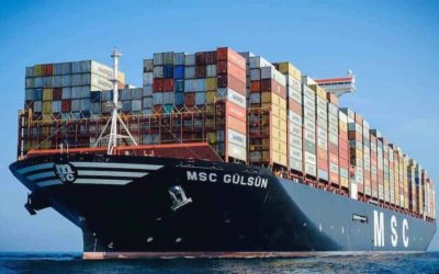 Cargo Shipping Market Surprising Growth