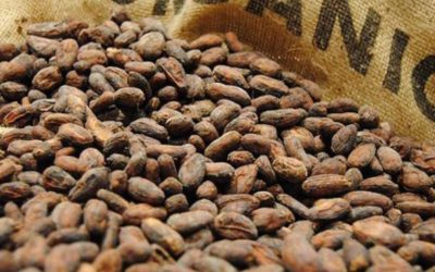 Organic Cocoa Market To See Huge Growth By 2025