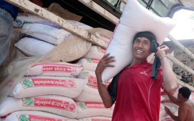 2020 rice exports nearly 3.6M tonnes